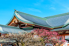 北野天満宮（屋根材）／緑青色